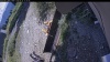 Web Cam Image - Sat, 08/29/2026 12:39pm PDT