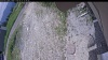 Web Cam Image - Wed, 06/17/2026 11:04am PDT