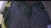 Web Cam Image - Wed, 06/24/2026 5:19pm PDT