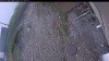 Web Cam Image - Thu, 05/14/2026 8:59am PDT