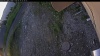 Web Cam Image - Sun, 06/14/2026 4:09am PDT