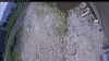Web Cam Image - Tue, 06/16/2026 10:29am PDT