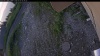 Web Cam Image - Tue, 07/07/2026 4:34am PDT