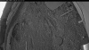 Web Cam Image - Tue, 05/12/2026 4:09am PDT