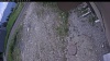 Web Cam Image - Tue, 06/16/2026 10:24am PDT