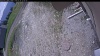 Web Cam Image - Sun, 05/24/2026 11:04am PDT