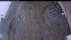Web Cam Image - Fri, 05/29/2026 9:09am PDT