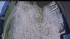 Web Cam Image - Tue, 06/02/2026 11:34am PDT