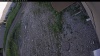Web Cam Image - Tue, 06/23/2026 5:14pm PDT