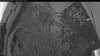 Web Cam Image - Mon, 07/06/2026 3:44am PDT
