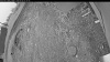 Web Cam Image - Thu, 06/04/2026 4:24am PDT