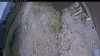 Web Cam Image - Tue, 06/16/2026 10:09am PDT