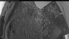 Web Cam Image - Mon, 07/06/2026 3:39am PDT