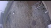 Web Cam Image - Thu, 05/07/2026 11:29am PDT