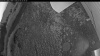 Web Cam Image - Mon, 07/06/2026 3:34am PDT