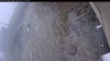 Web Cam Image - Wed, 05/06/2026 9:49am PDT