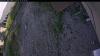 Web Cam Image - Tue, 06/23/2026 4:59pm PDT