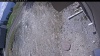 Web Cam Image - Sun, 05/10/2026 10:34am PDT