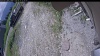 Web Cam Image - Wed, 06/17/2026 10:24am PDT
