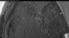 Web Cam Image - Tue, 07/07/2026 3:59am PDT