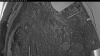 Web Cam Image - Thu, 05/28/2026 4:09am PDT