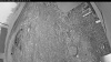 Web Cam Image - Thu, 06/04/2026 4:04am PDT