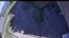 Web Cam Image - Sun, 06/21/2026 2:14pm PDT