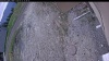 Web Cam Image - Tue, 05/12/2026 4:59pm PDT