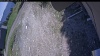 Web Cam Image - Wed, 05/27/2026 12:39pm PDT