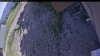 Web Cam Image - Mon, 06/22/2026 2:14pm PDT