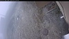 Web Cam Image - Wed, 05/06/2026 9:24am PDT