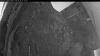 Web Cam Image - Thu, 05/28/2026 3:54am PDT