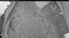 Web Cam Image - Thu, 06/04/2026 3:49am PDT