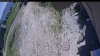 Web Cam Image - Fri, 06/19/2026 11:29am PDT