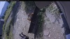 Web Cam Image - Mon, 08/31/2026 11:44am PDT
