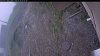 Web Cam Image - Fri, 05/29/2026 9:04am PDT