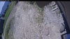 Web Cam Image - Tue, 06/02/2026 11:29am PDT