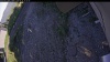 Web Cam Image - Tue, 06/16/2026 6:09pm PDT