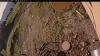 Web Cam Image - Mon, 06/30/2025 1:59am PDT