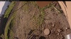 Web Cam Image - Mon, 06/30/2025 1:34am PDT