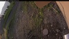Web Cam Image - Mon, 06/30/2025 1:24am PDT