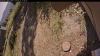 Web Cam Image - Tue, 09/16/2025 10:59am PDT