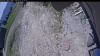 Web Cam Image - Tue, 06/02/2026 11:24am PDT