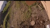 Web Cam Image - Mon, 06/30/2025 1:14am PDT