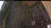 Web Cam Image - Mon, 06/30/2025 1:09am PDT