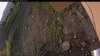 Web Cam Image - Mon, 06/30/2025 12:49am PDT