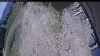 Web Cam Image - Tue, 06/02/2026 11:19am PDT