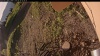 Web Cam Image - Mon, 06/30/2025 12:24am PDT