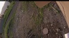 Web Cam Image - Mon, 06/30/2025 12:19am PDT