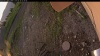 Web Cam Image - Mon, 06/30/2025 12:14am PDT